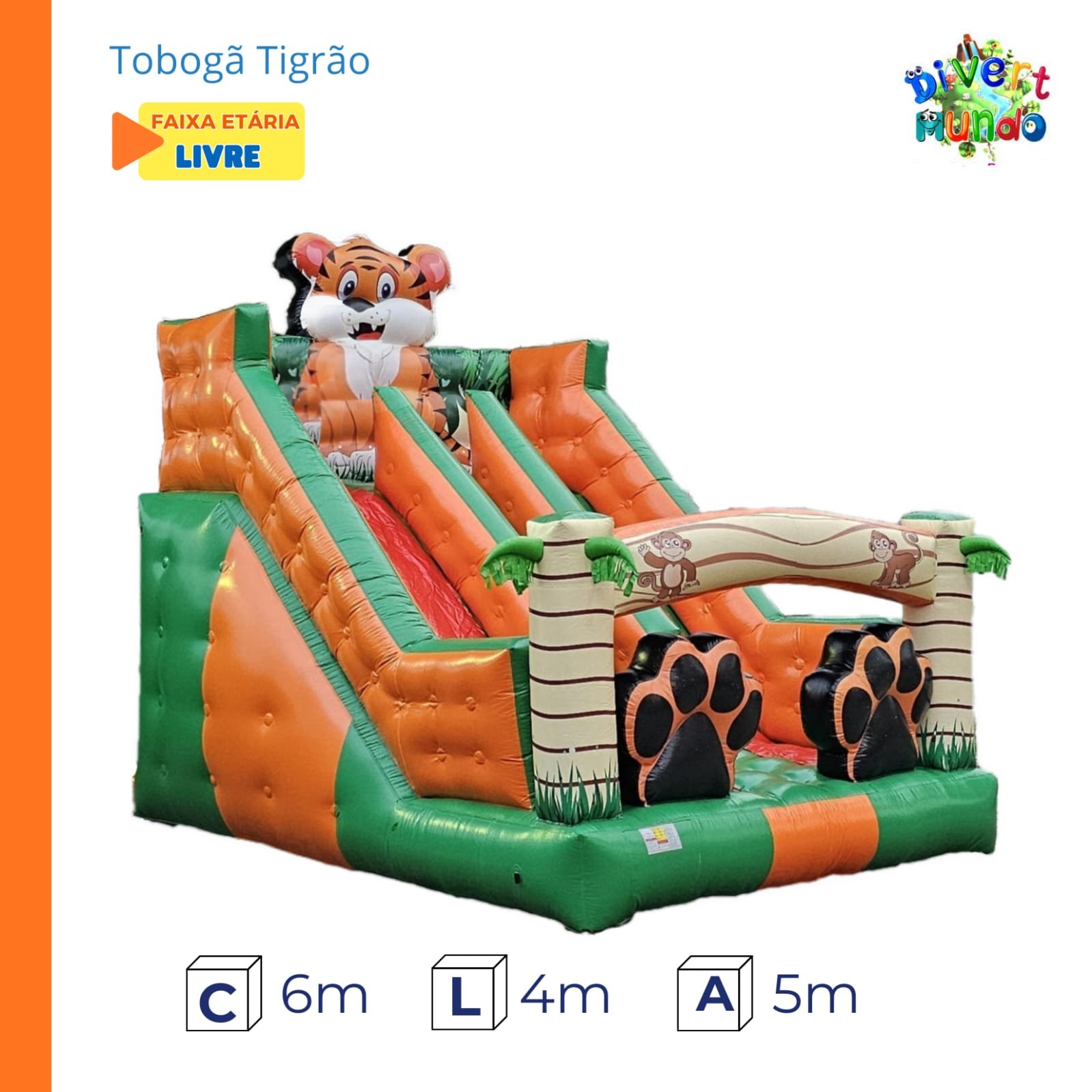 WhatsApp Image 2026-02-12 at 17.10.05